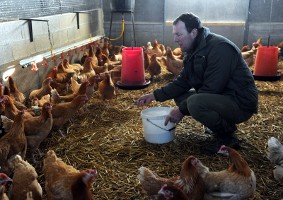 ferme du moulin s